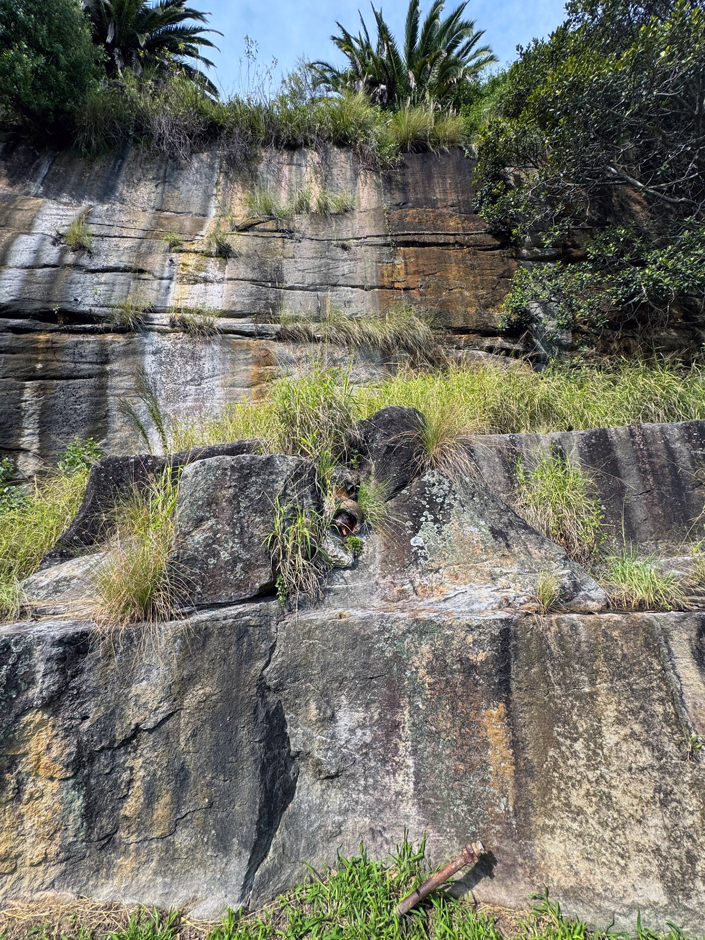 Colour image of the reserve parkland rock wall with a large terracotta pipe sticking out, once part of the box factory