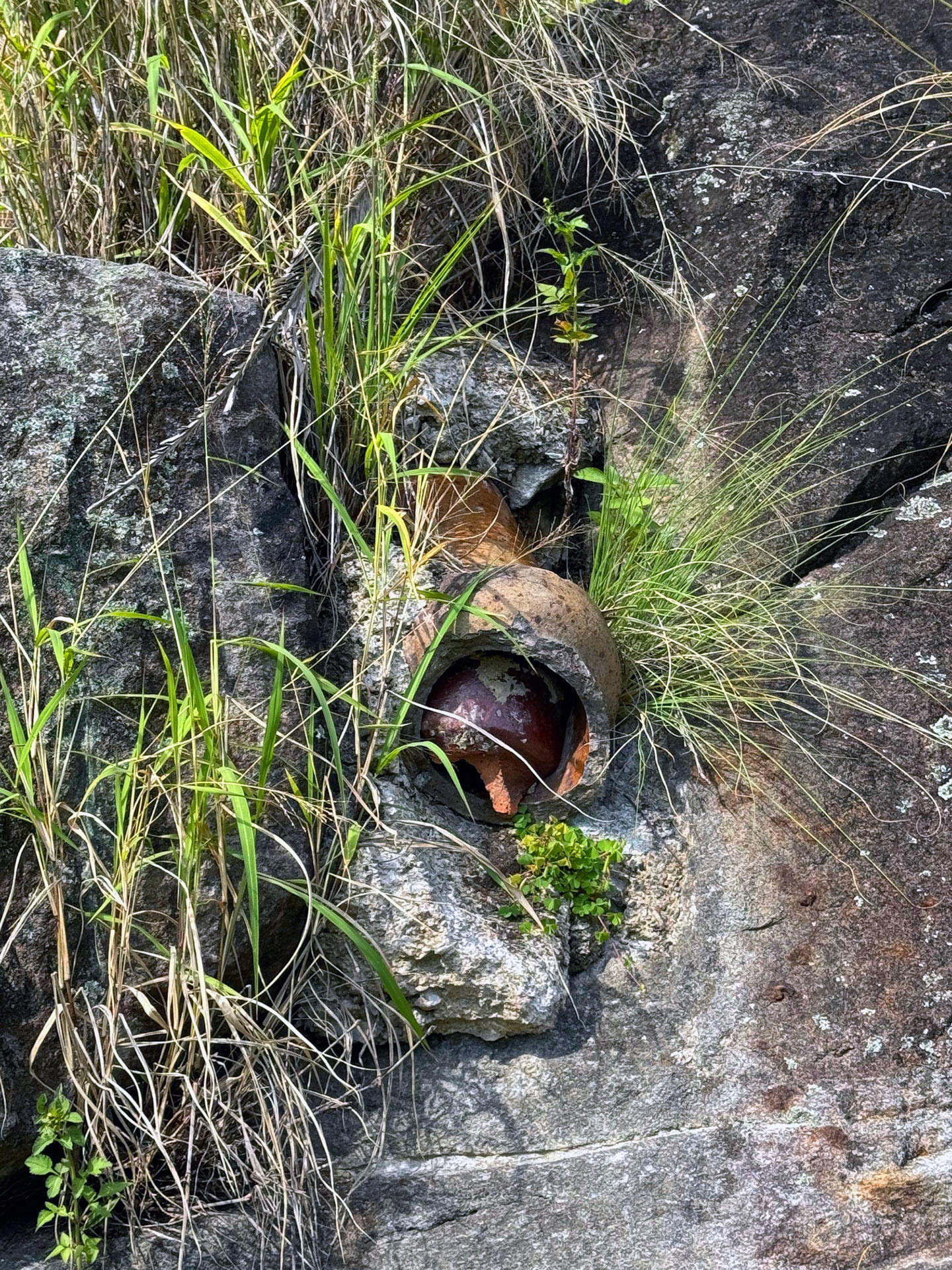 Colour image of the reserve parkland rock wall with a large terracotta pipe sticking out, once part of the box factory