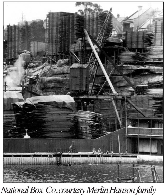 National Box Company Image showing the scale of the many stacks of timber pressed against the side of the Dawn Fraser pool, reaching taller then the roof of building